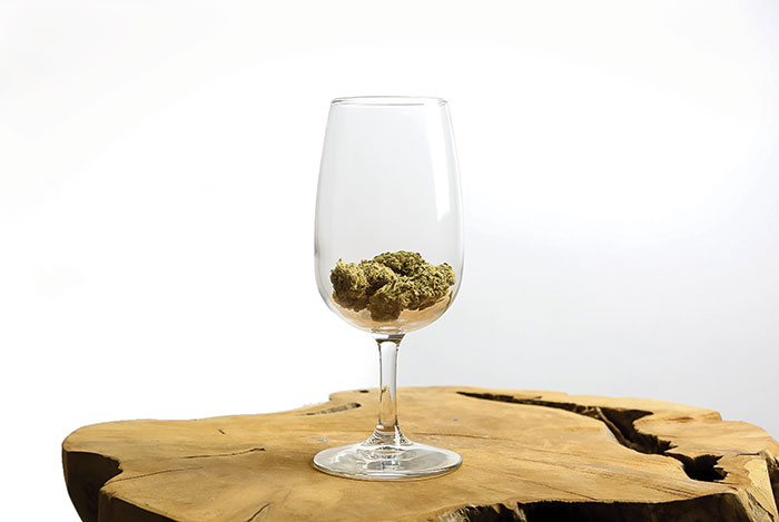 Cannabidiol Brews - Hop Culture Studios
